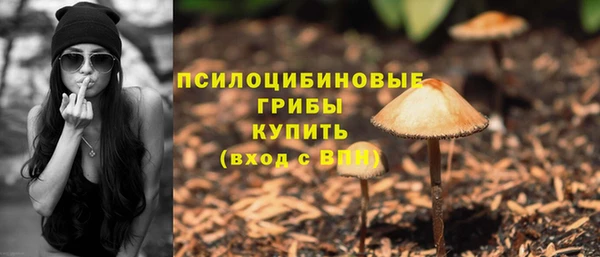 шишки Ельня