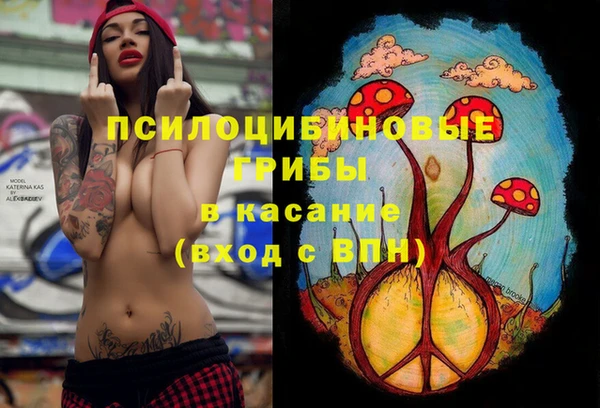 шишки Ельня