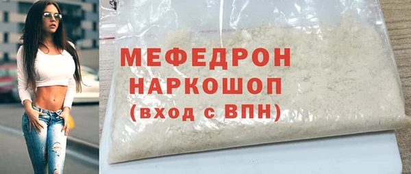 шишки Ельня