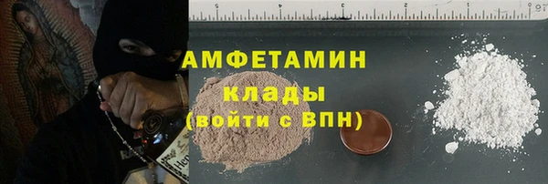 шишки Ельня