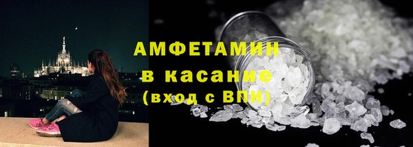 шишки Ельня