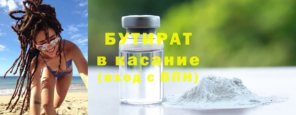 шишки Ельня