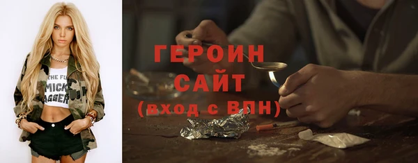 шишки Ельня