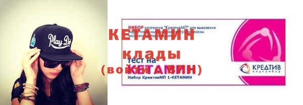 шишки Ельня