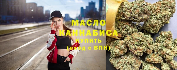 шишки Ельня