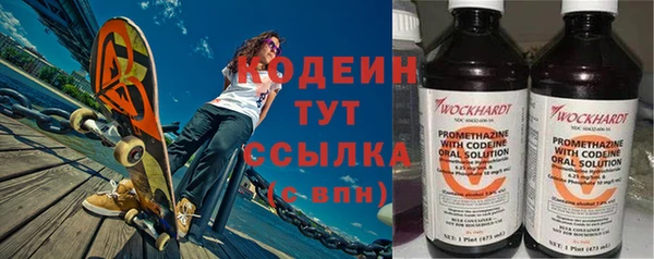 шишки Ельня