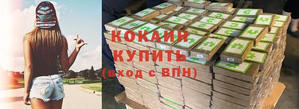 шишки Ельня