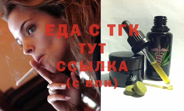 шишки Ельня