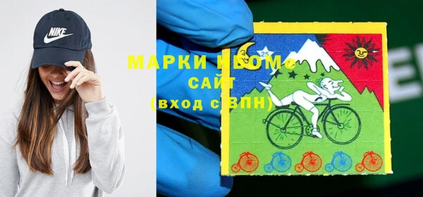 шишки Ельня