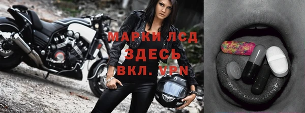 шишки Ельня