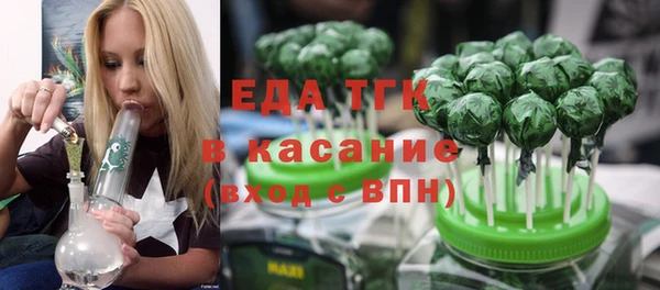 шишки Ельня