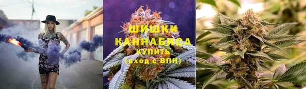 шишки Ельня