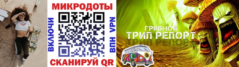 Купить закладки  Людиново  Псилоцибиновые грибы Psilocybe 